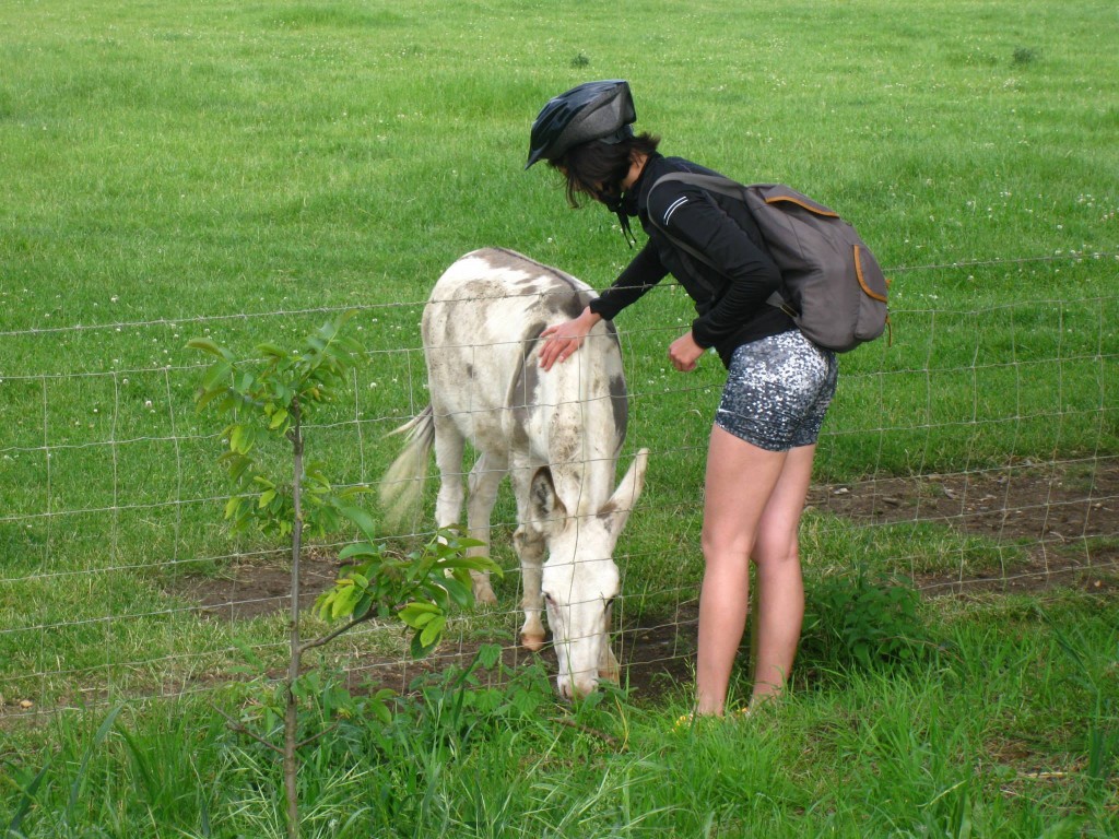 Holly making friends with a donkey.